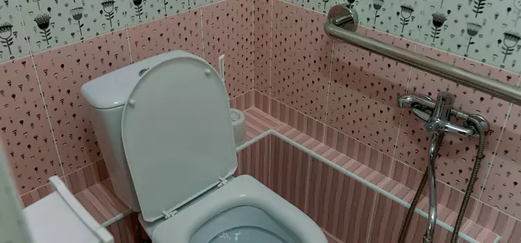 Meeting Diverse Needs With Accessible Restroom Solutions in Highland, IN
